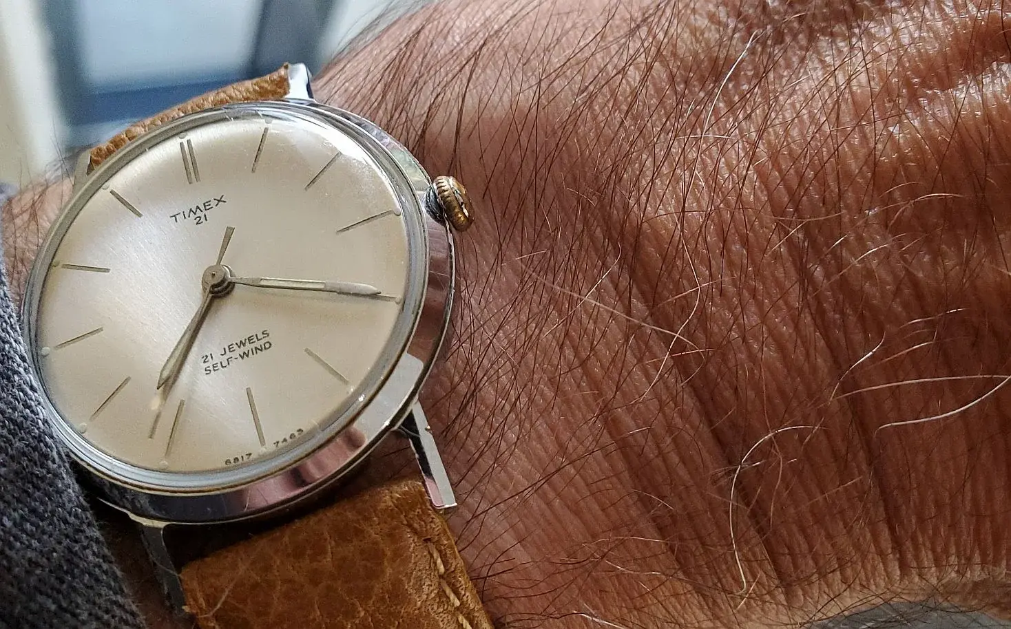 Timex 21 ws 1 20250924_072052(0).webp