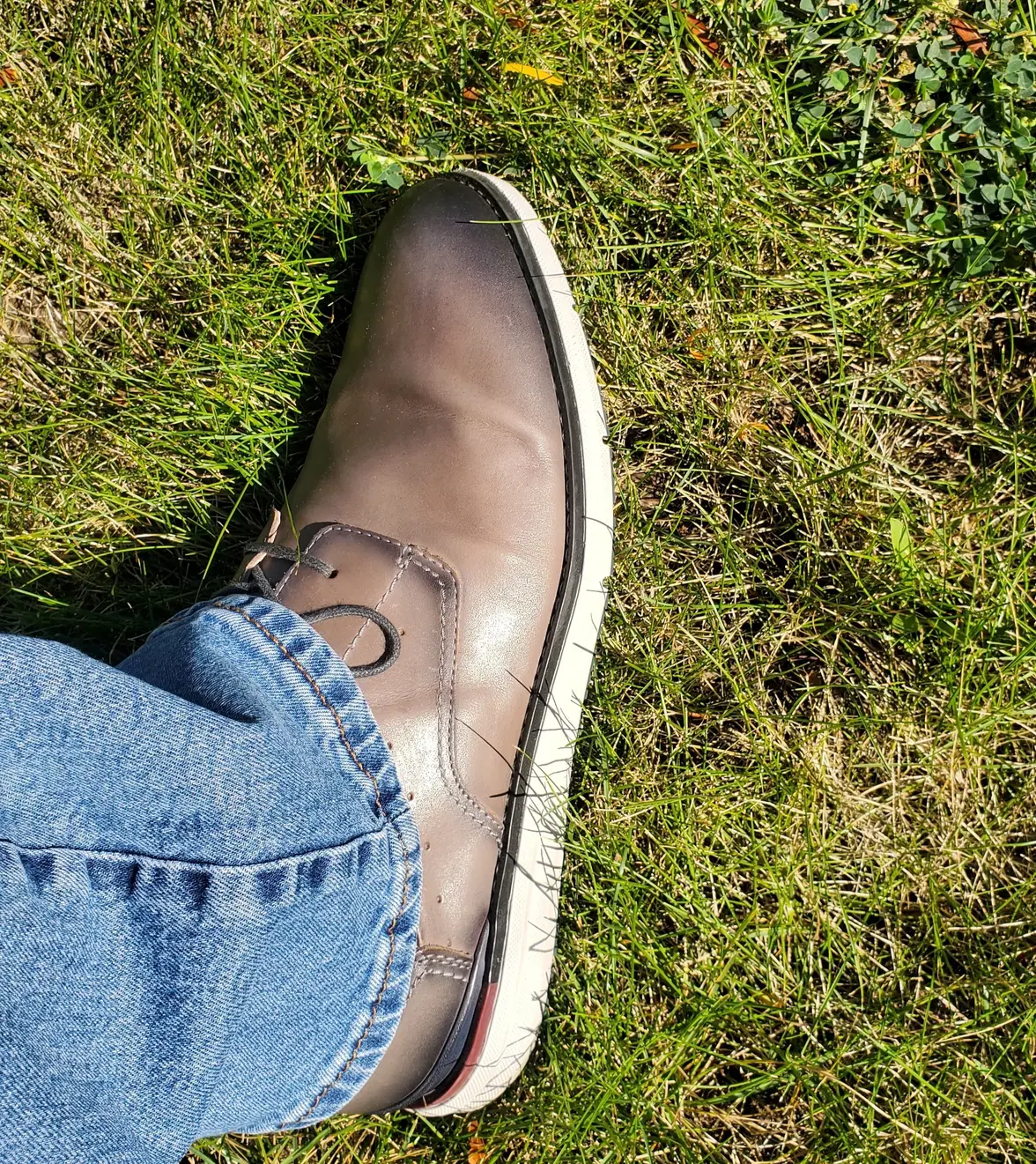 20250925_123109.webp 20250925_123109.webp