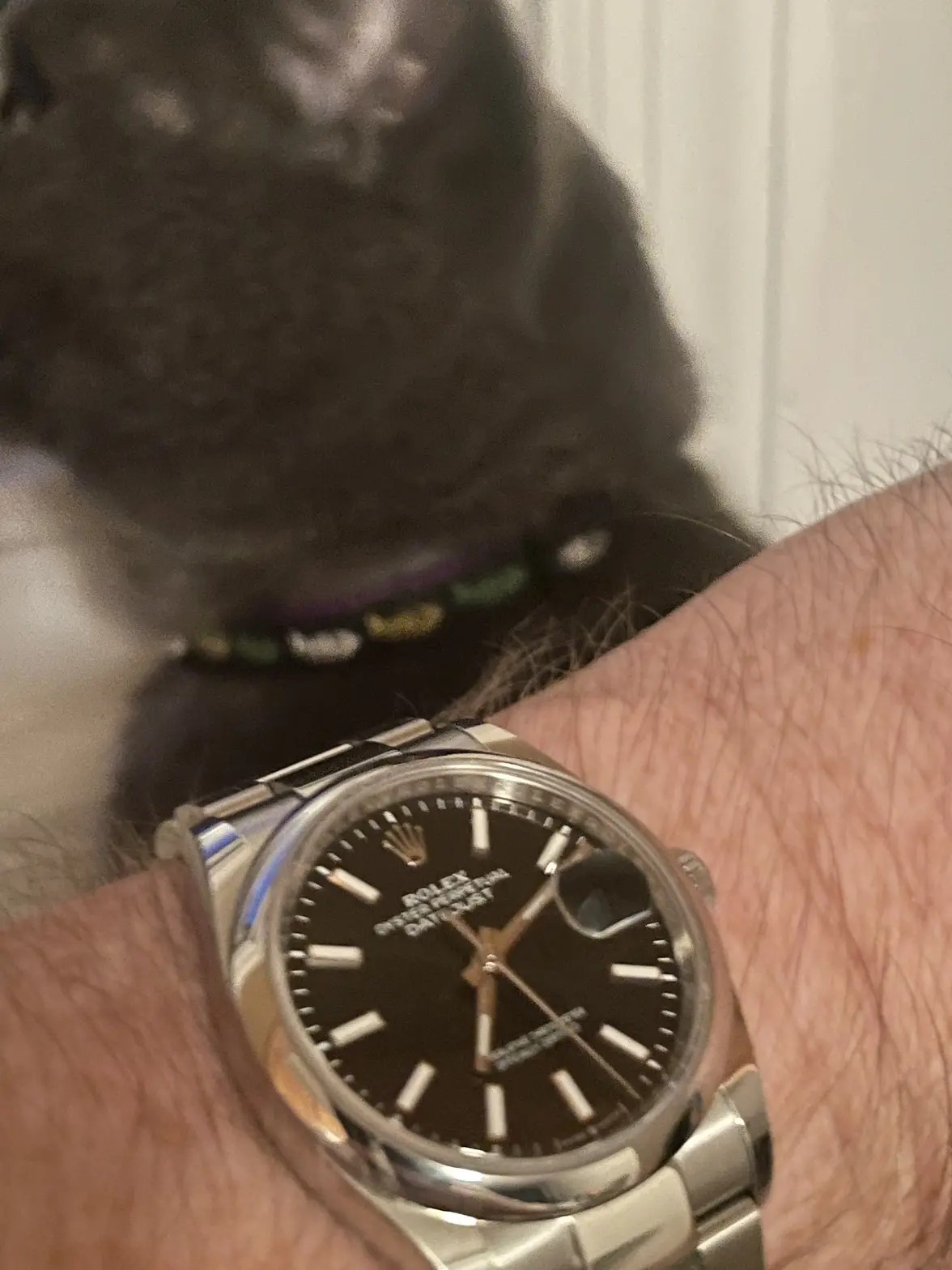 IMG_2728.webp IMG_2728.webp