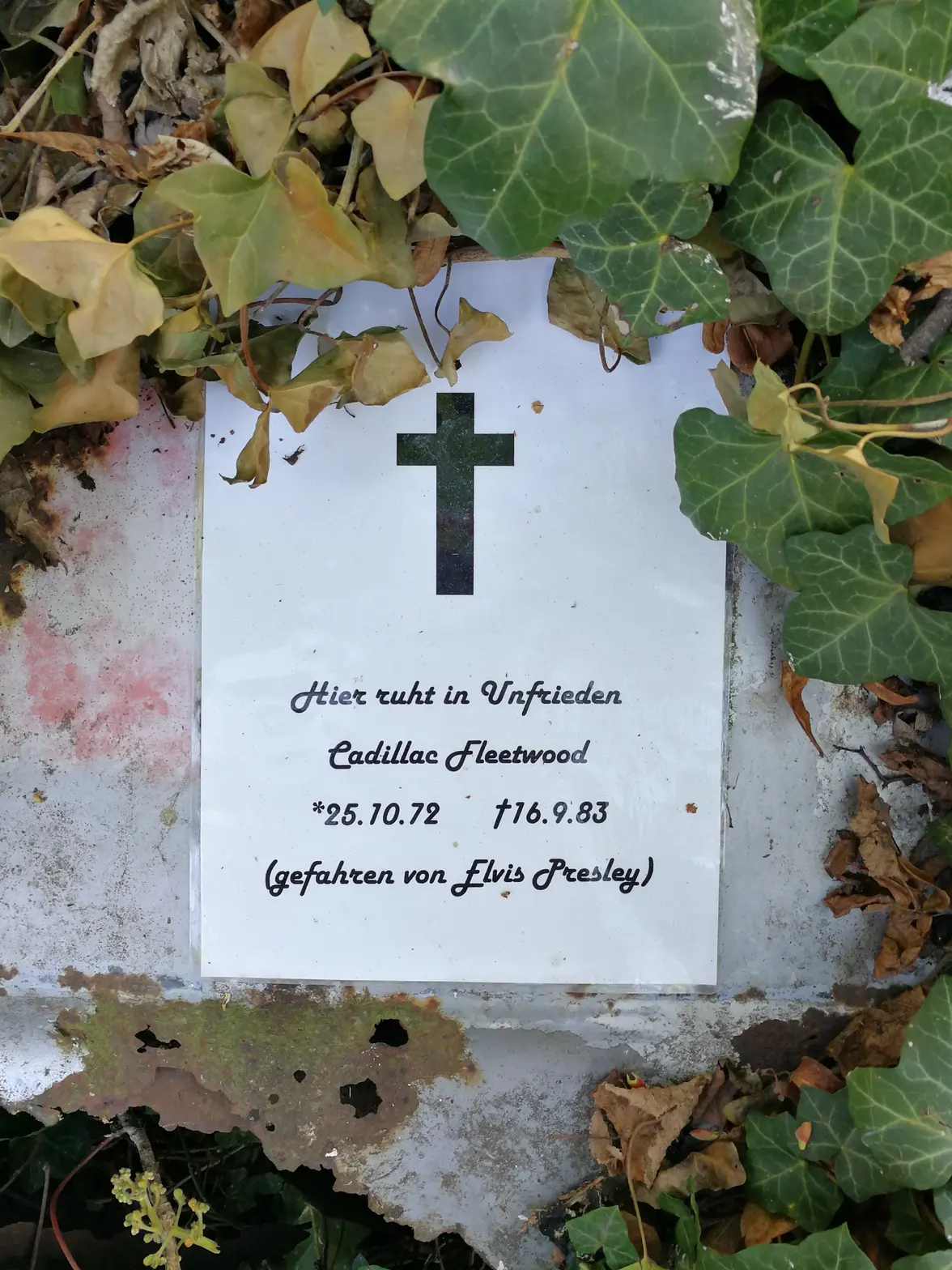 Cadillac Fleetwood Elvis (1).webp