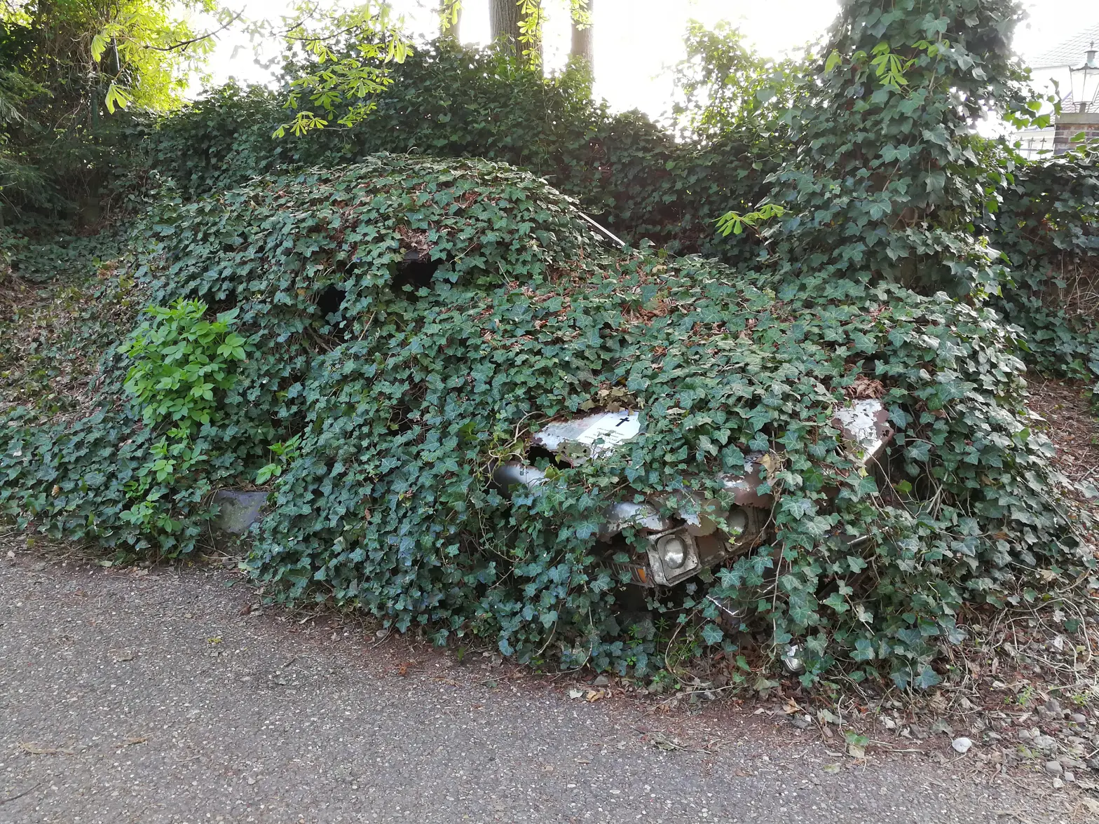 Cadillac Fleetwood Elvis (2).webp