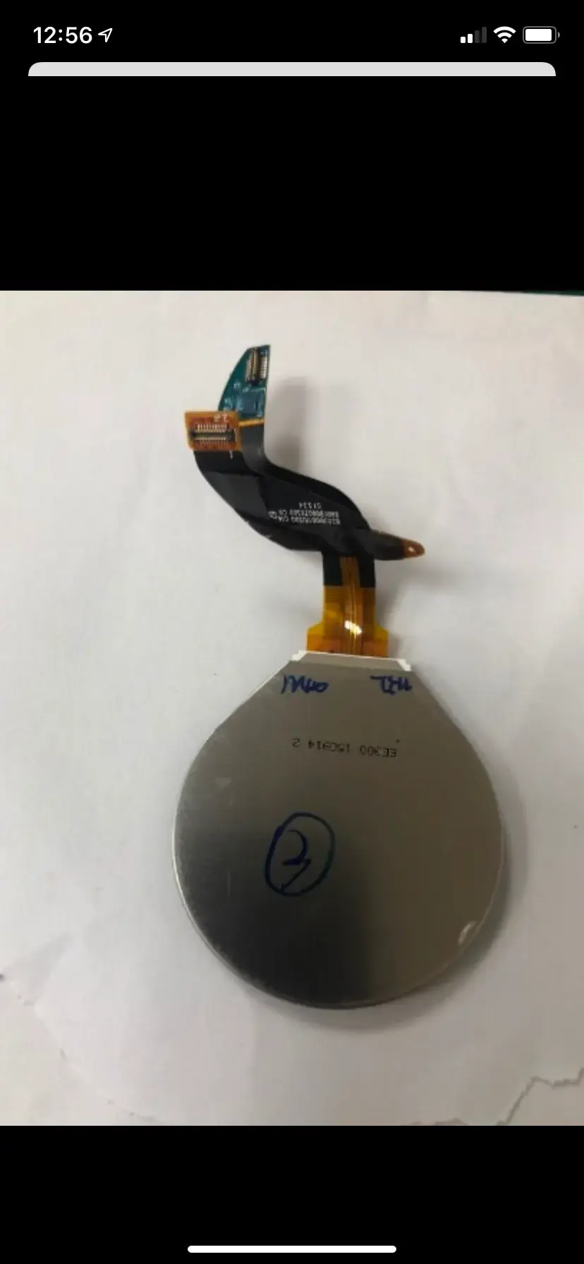 IMG_9067.webp IMG_9067.webp