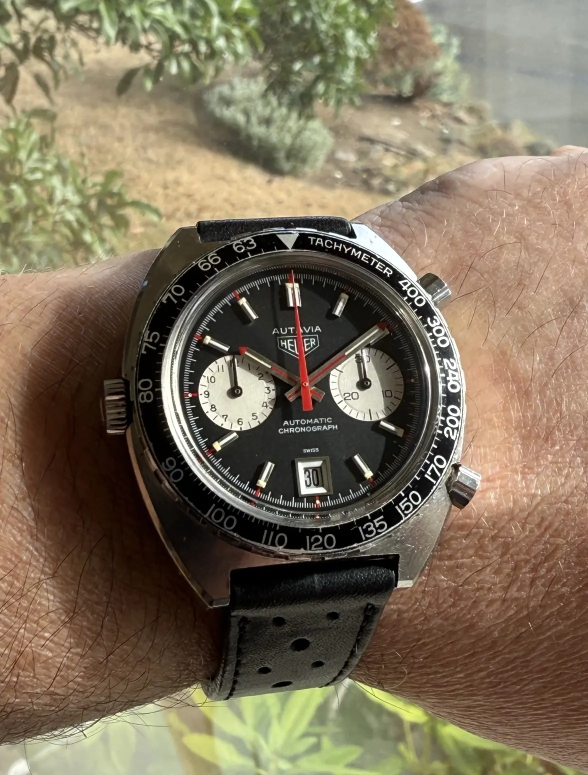 IMG_0121.webp IMG_0121.webp