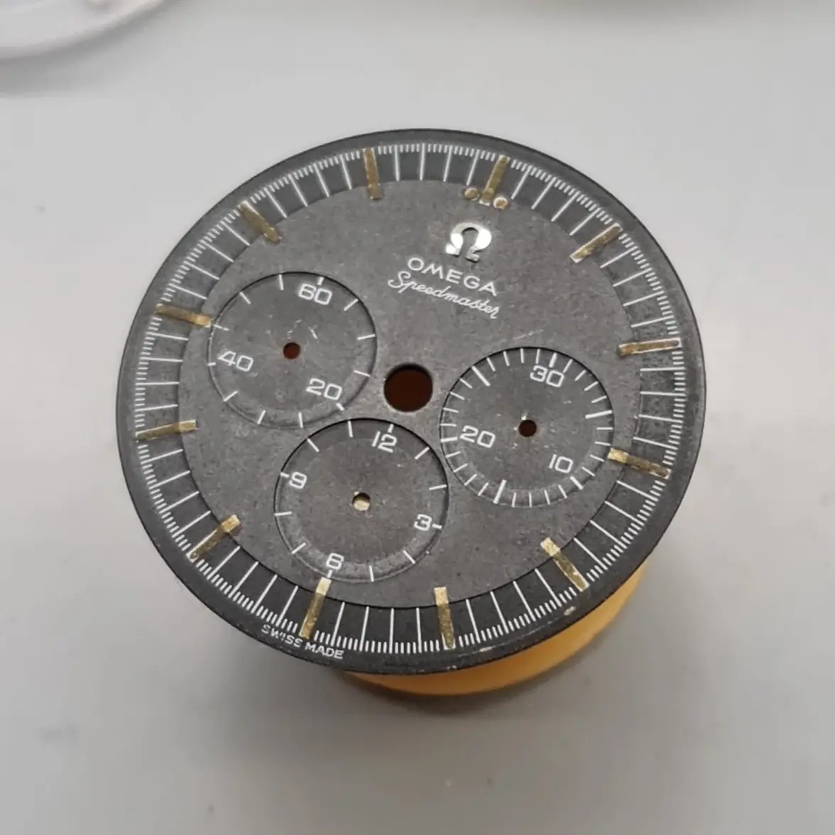 Immagine WhatsApp 2025-10-01 ore 17.17.57_fbfa2b62.webp