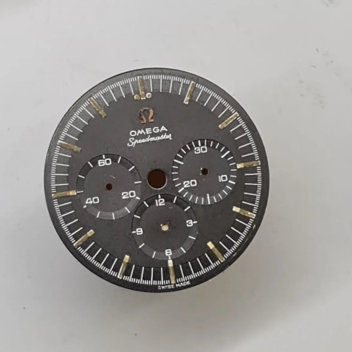 Immagine WhatsApp 2025-10-01 ore 17.17.57_aa8c12dd.webp