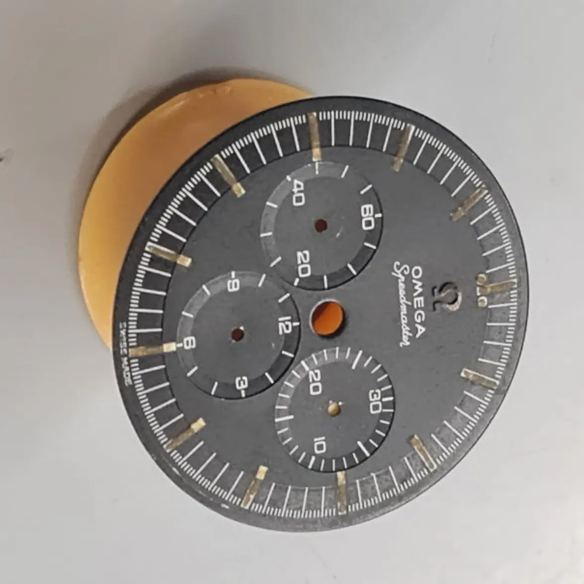 Immagine WhatsApp 2025-09-29 ore 22.02.19_b5bdda0e.webp