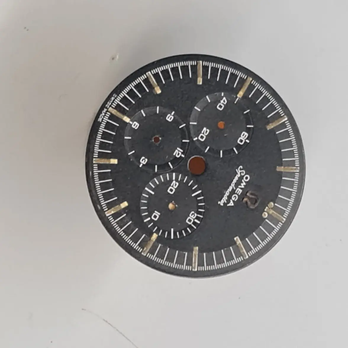 Immagine WhatsApp 2025-09-29 ore 22.02.19_70fbc419.webp