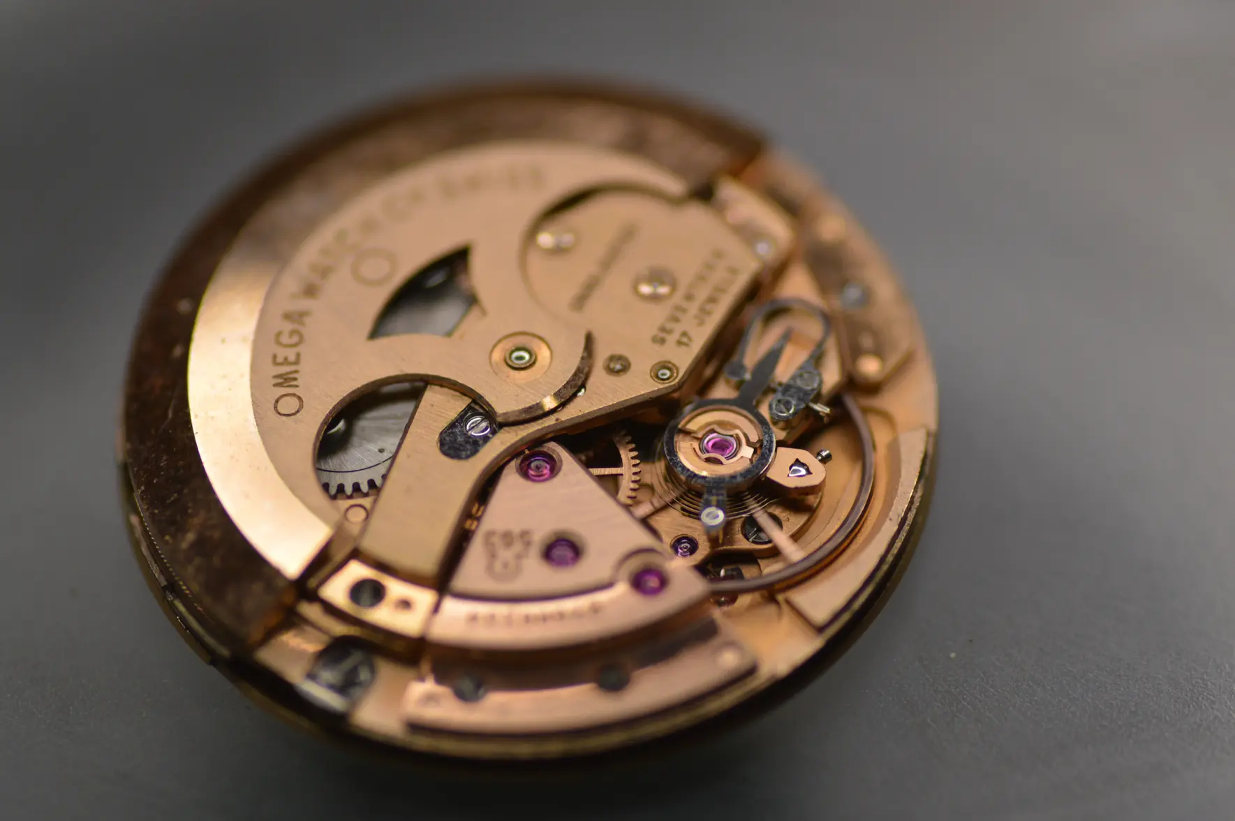 DSC_2481.webp DSC_2481.webp