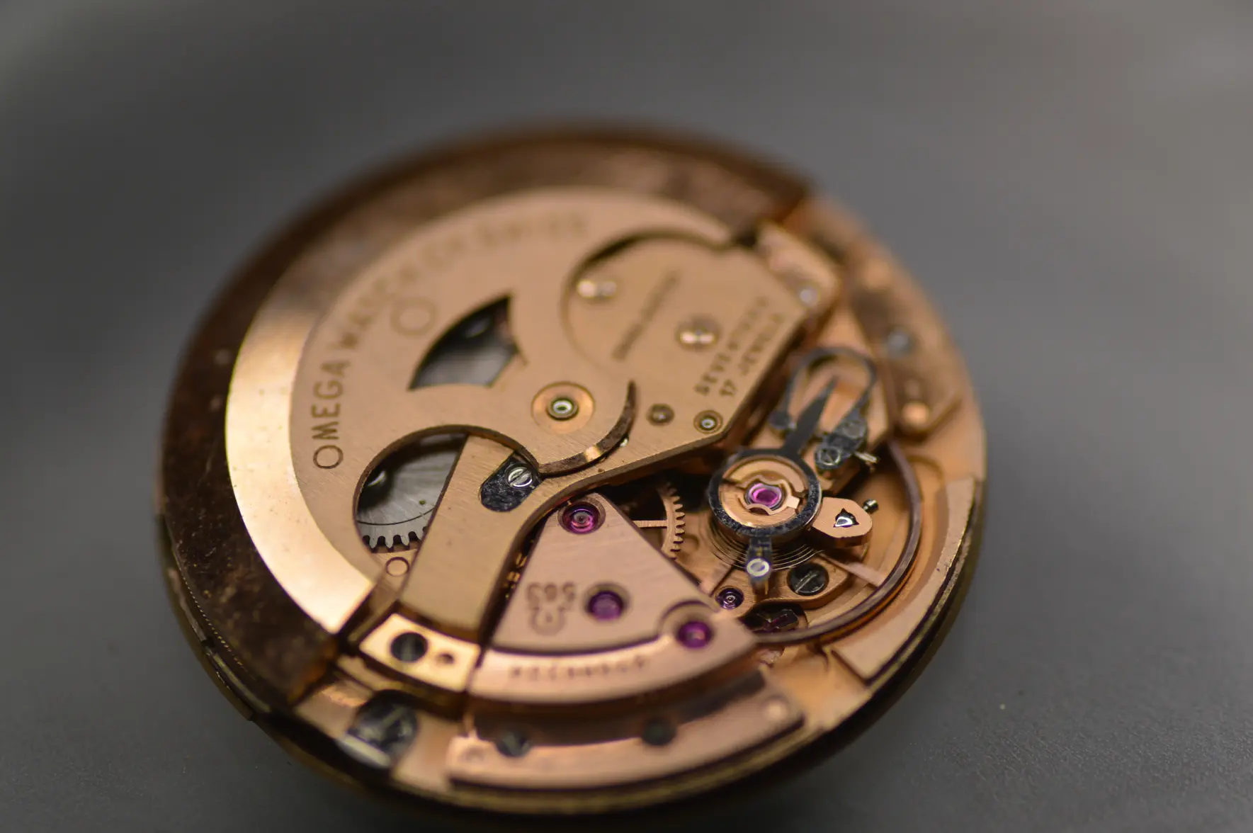 DSC_2482.webp DSC_2482.webp