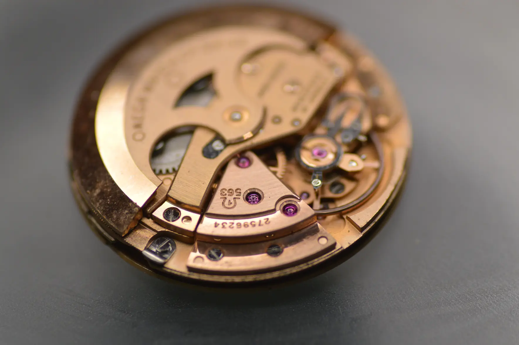 DSC_2483.webp DSC_2483.webp