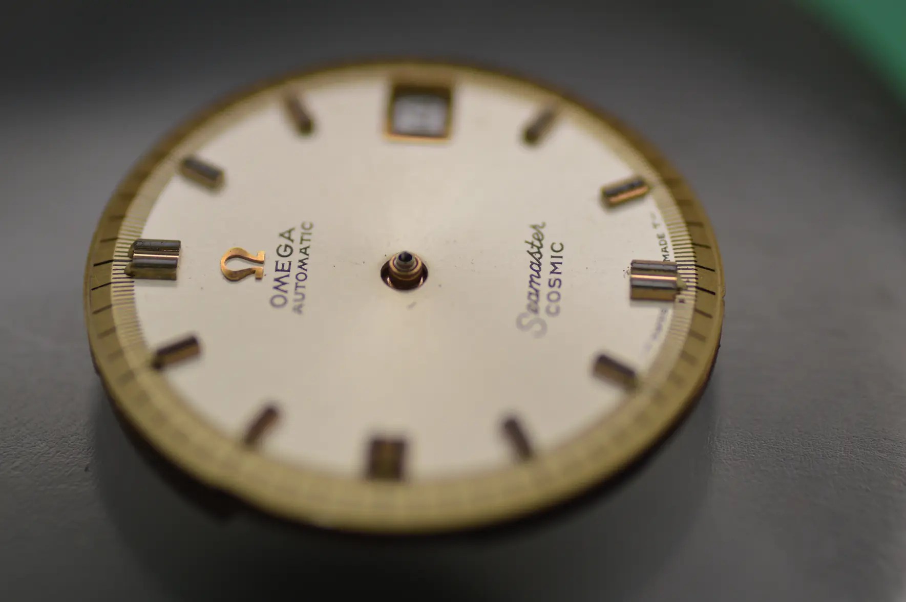 DSC_2484.webp DSC_2484.webp