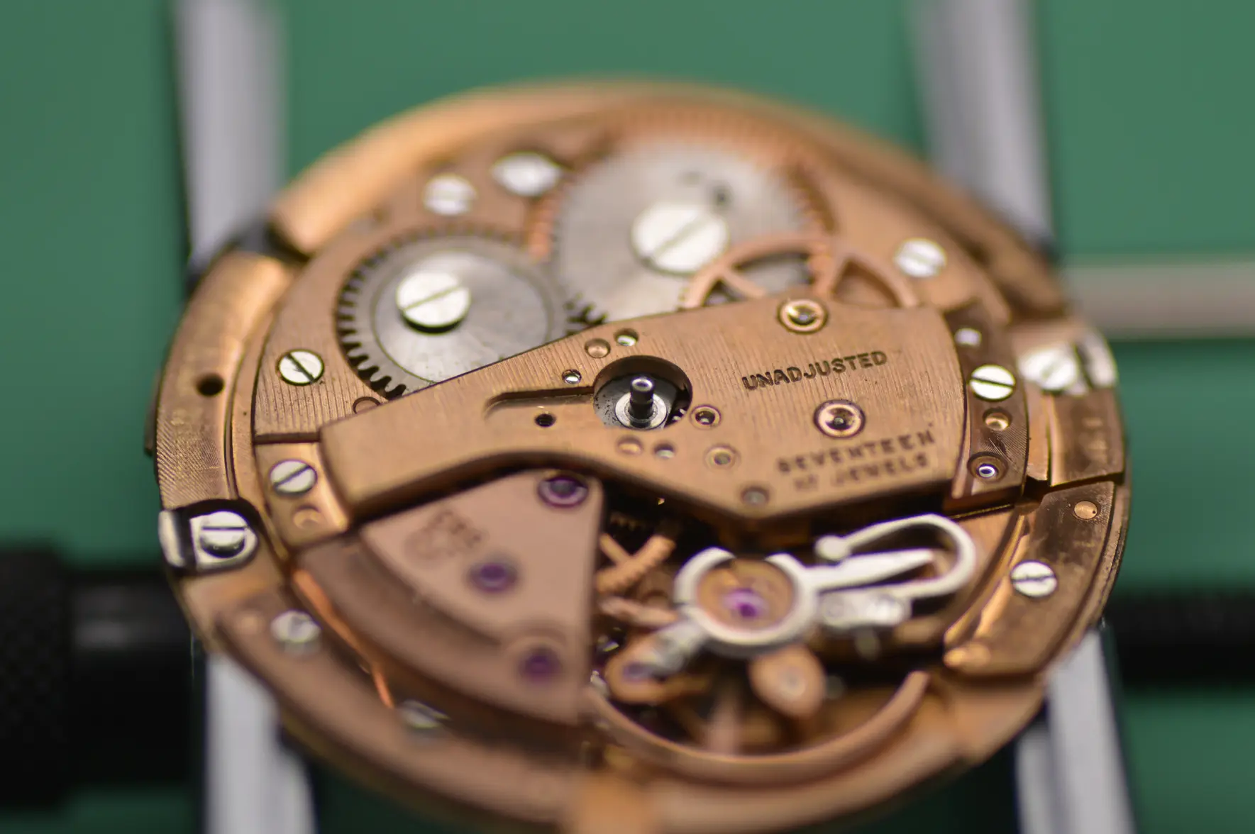 DSC_2485.webp DSC_2485.webp