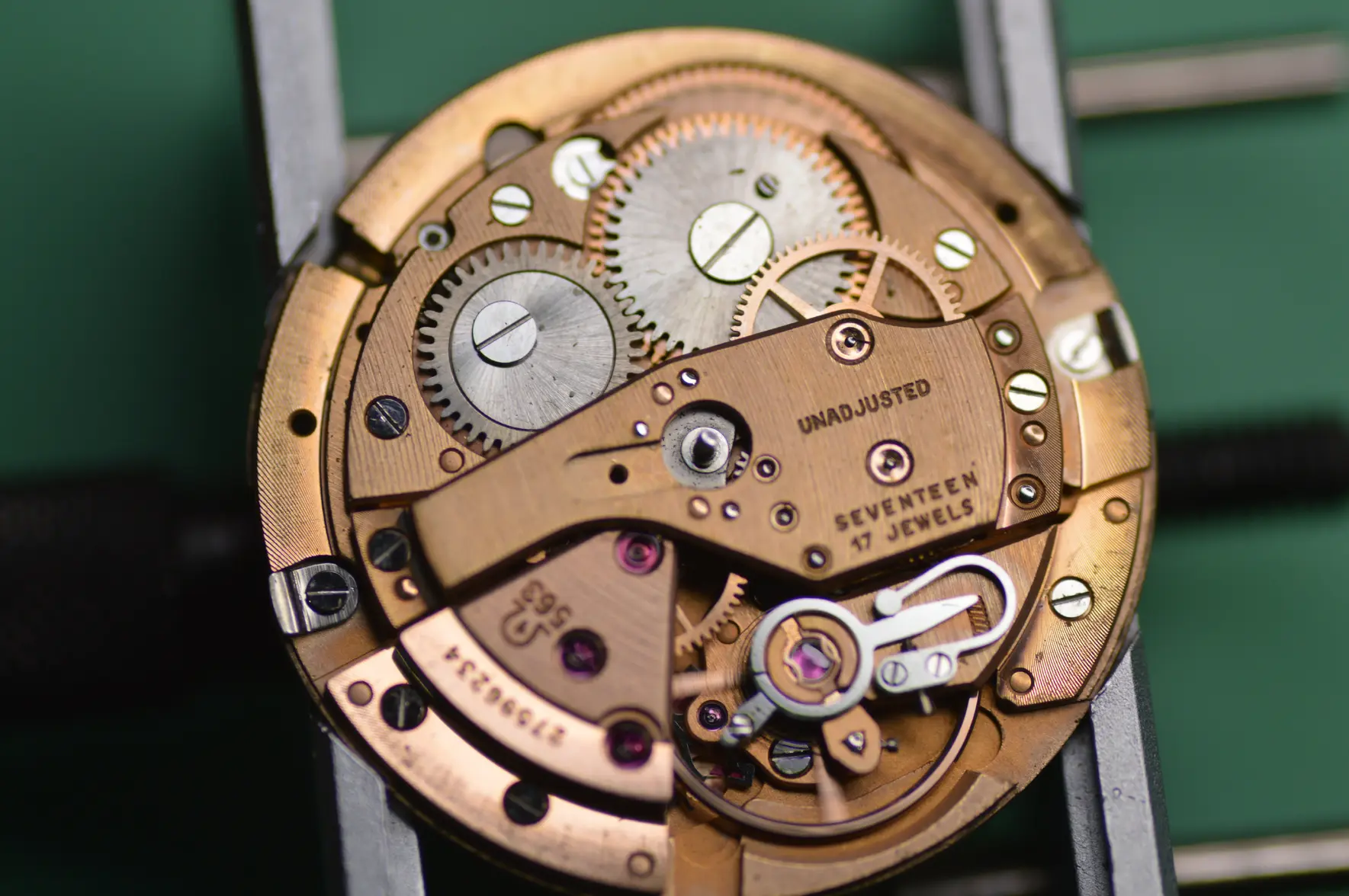 DSC_2486.webp DSC_2486.webp