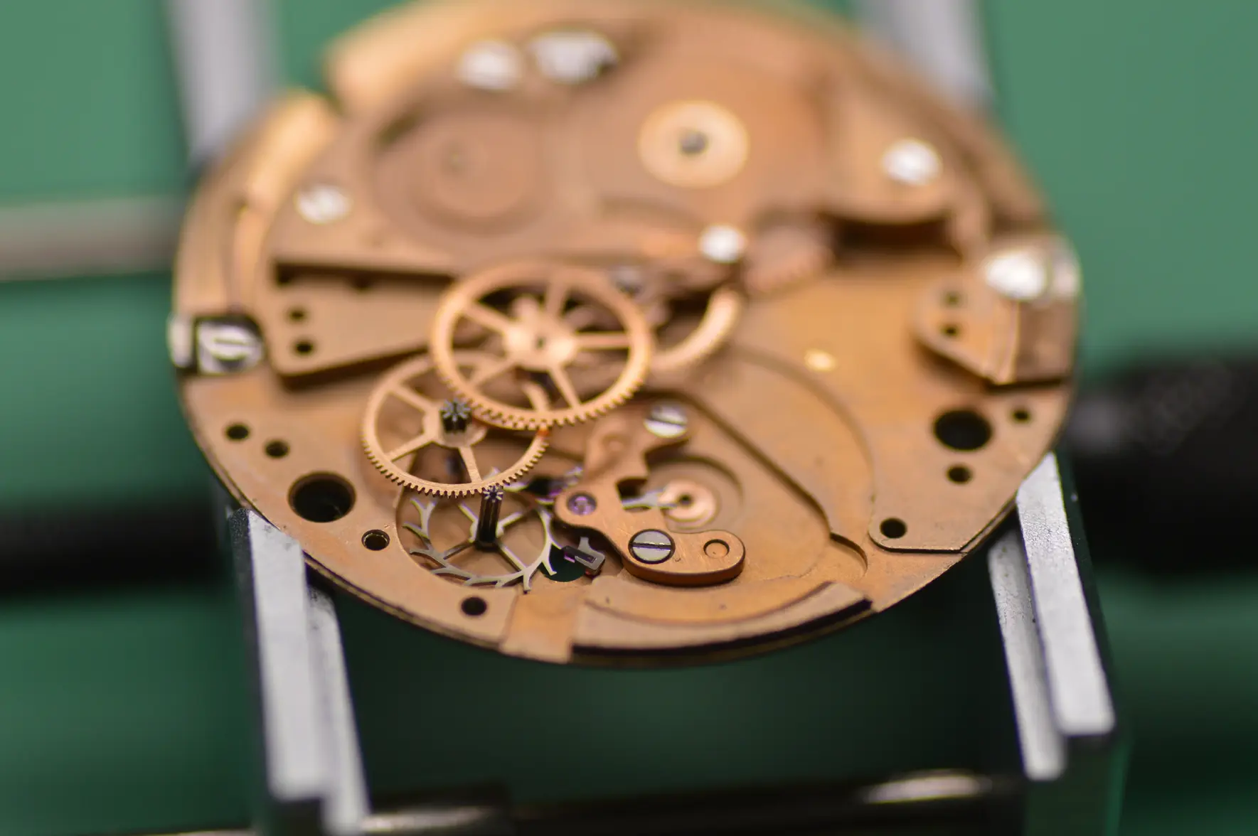 DSC_2487.webp DSC_2487.webp