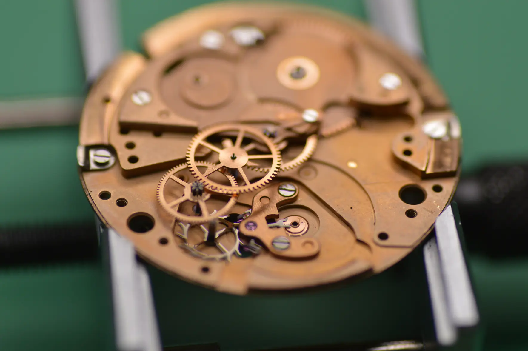 DSC_2488.webp DSC_2488.webp