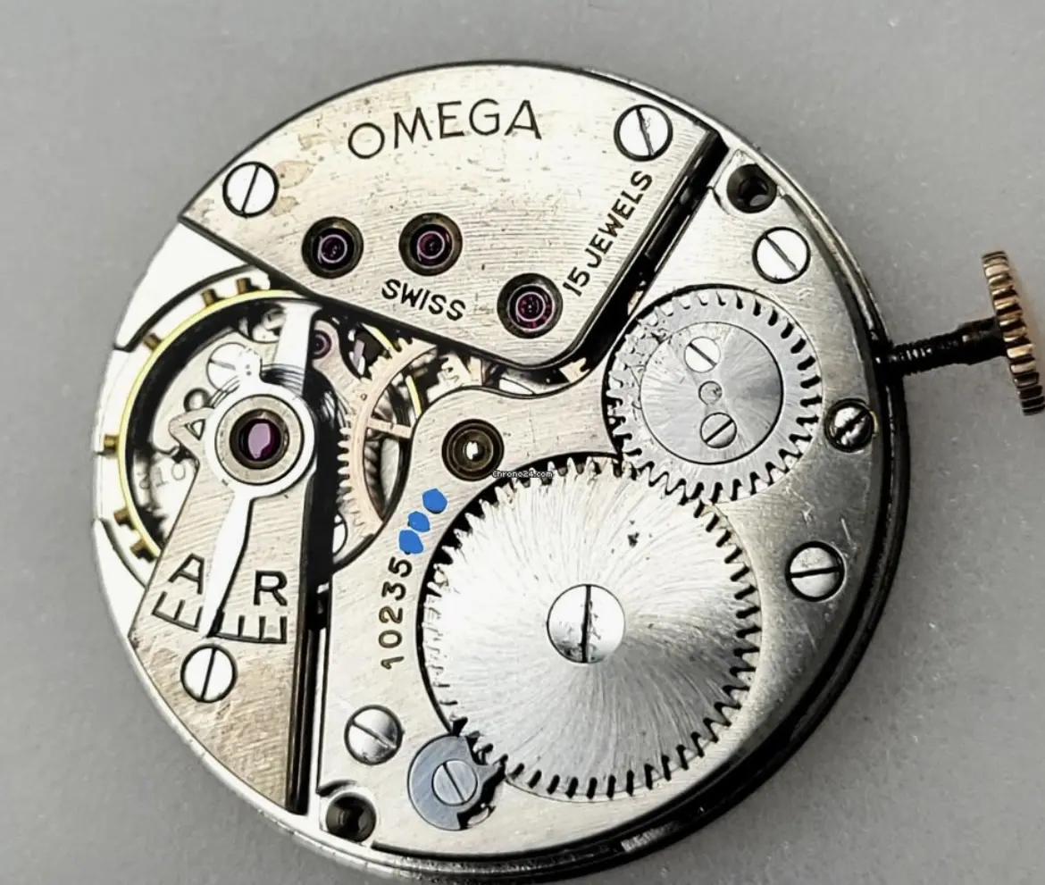 IMG_1223.webp IMG_1223.webp