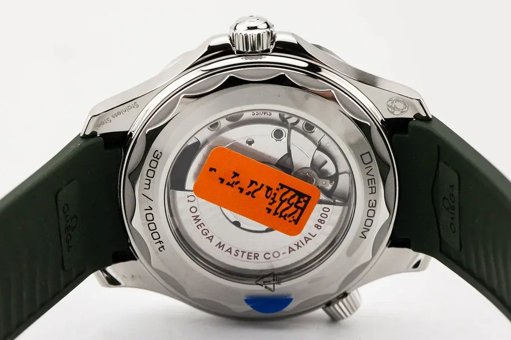 53041628758_2912b0fce5_b.webp 53041628758_2912b0fce5_b.webp