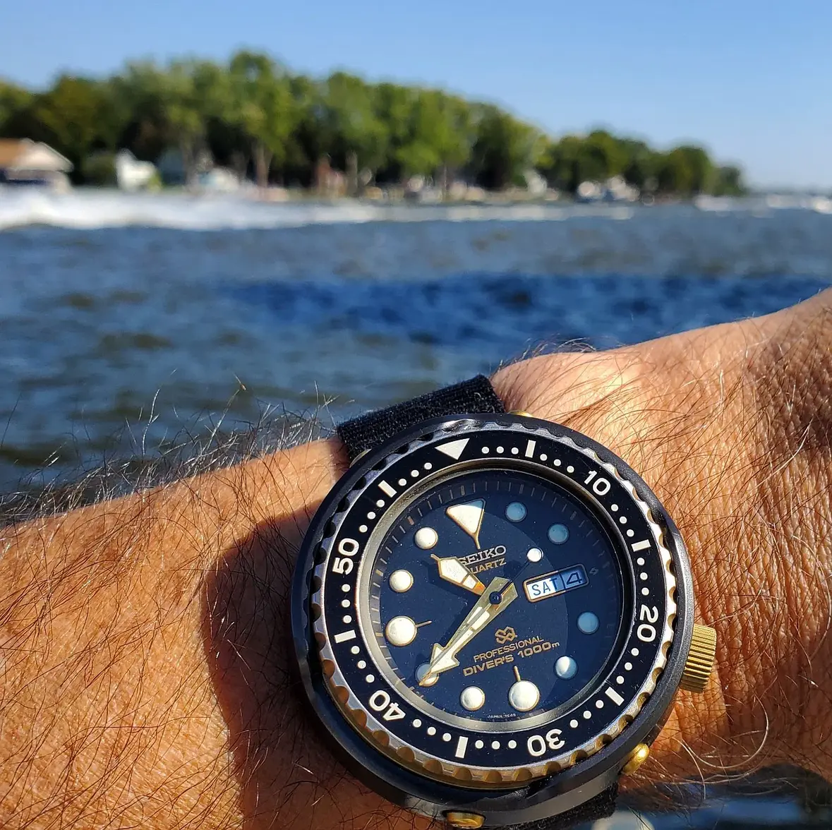 Tuna ws 2 20251004_103948.webp