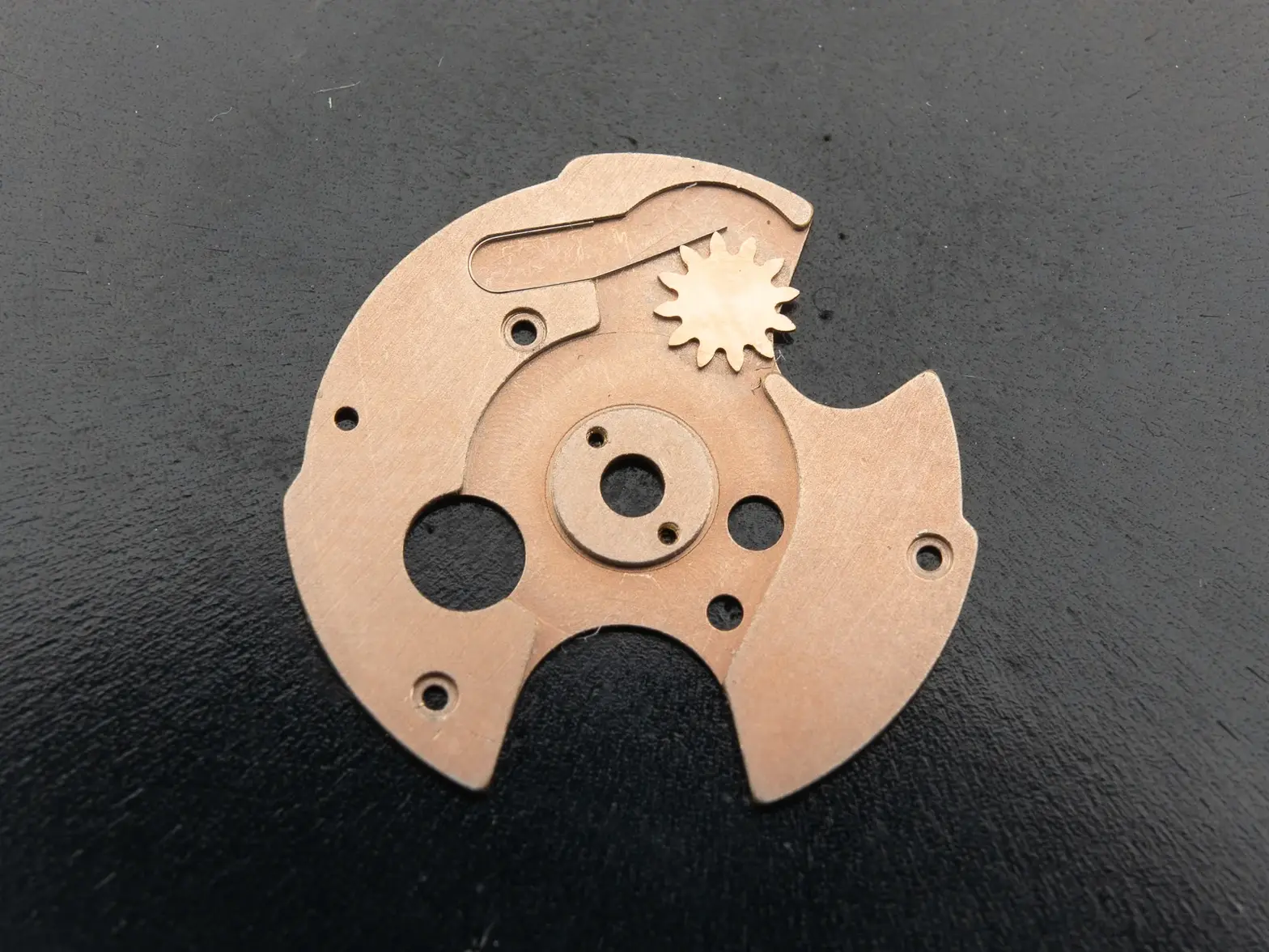 DSC_6444.webp DSC_6444.webp