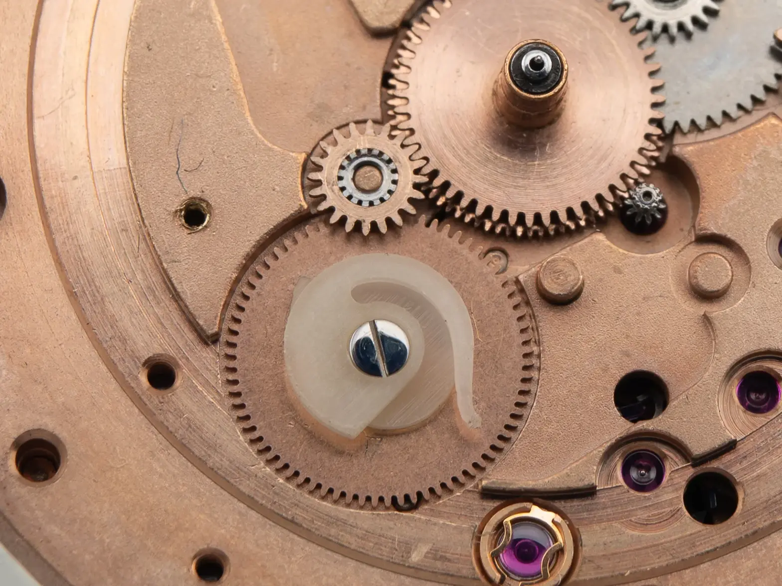 DSC_6443-2.webp DSC_6443-2.webp