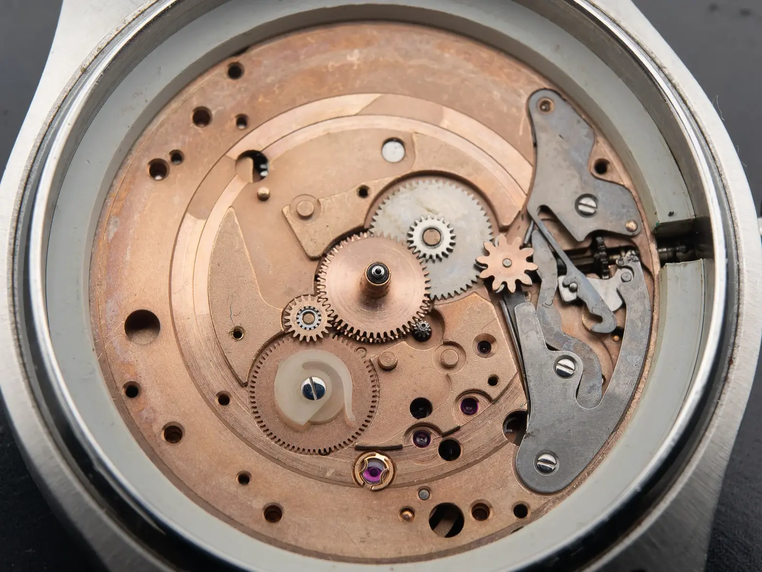 DSC_6443.webp DSC_6443.webp