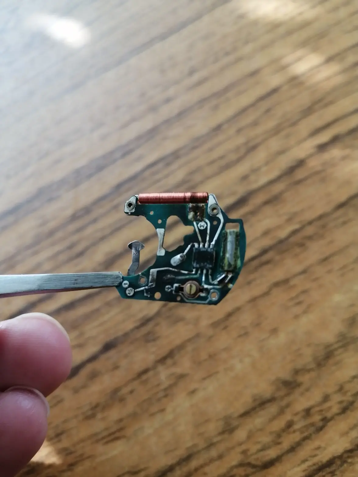 IMG_20251006_140855.webp IMG_20251006_140855.webp