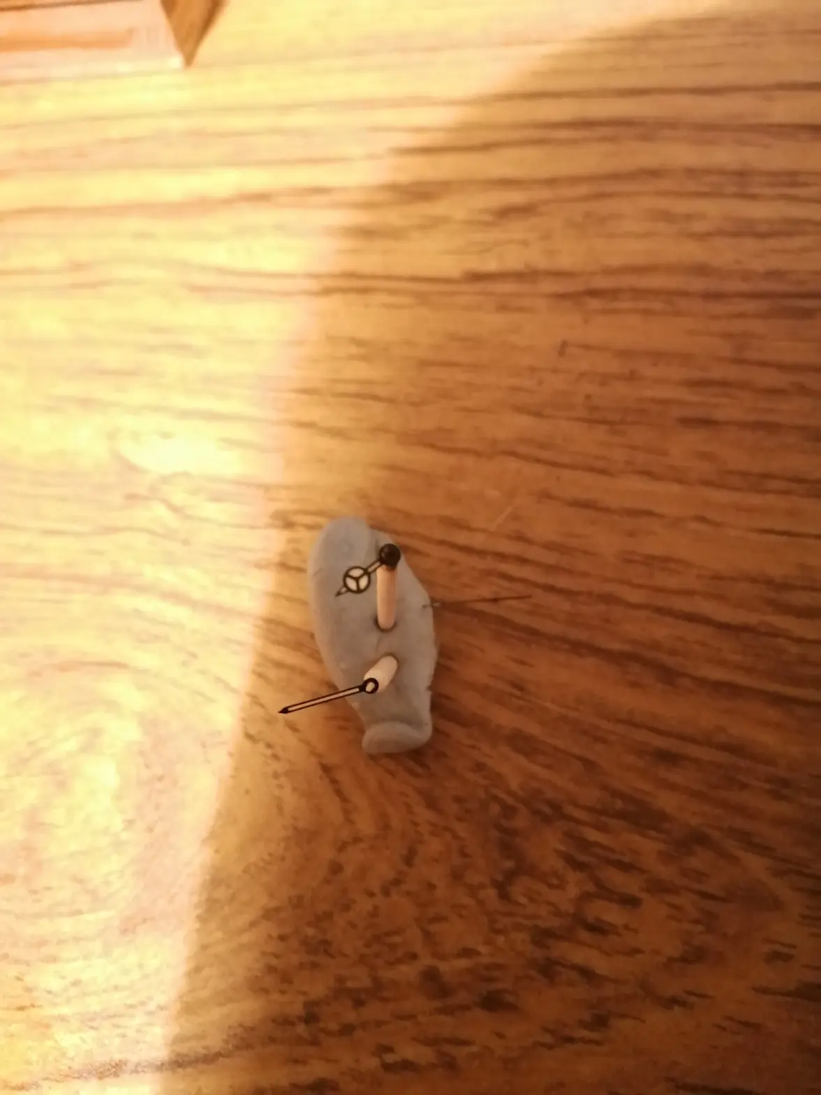 IMG_20251004_185830.webp IMG_20251004_185830.webp