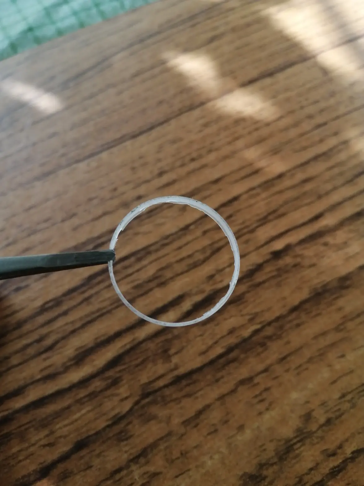 IMG_20251006_140658.webp IMG_20251006_140658.webp