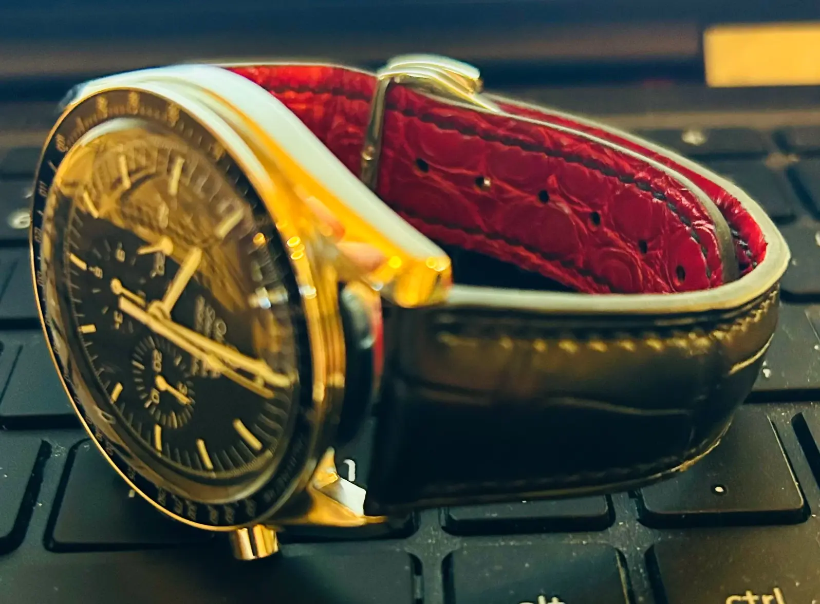 Black gator w red lining.webp