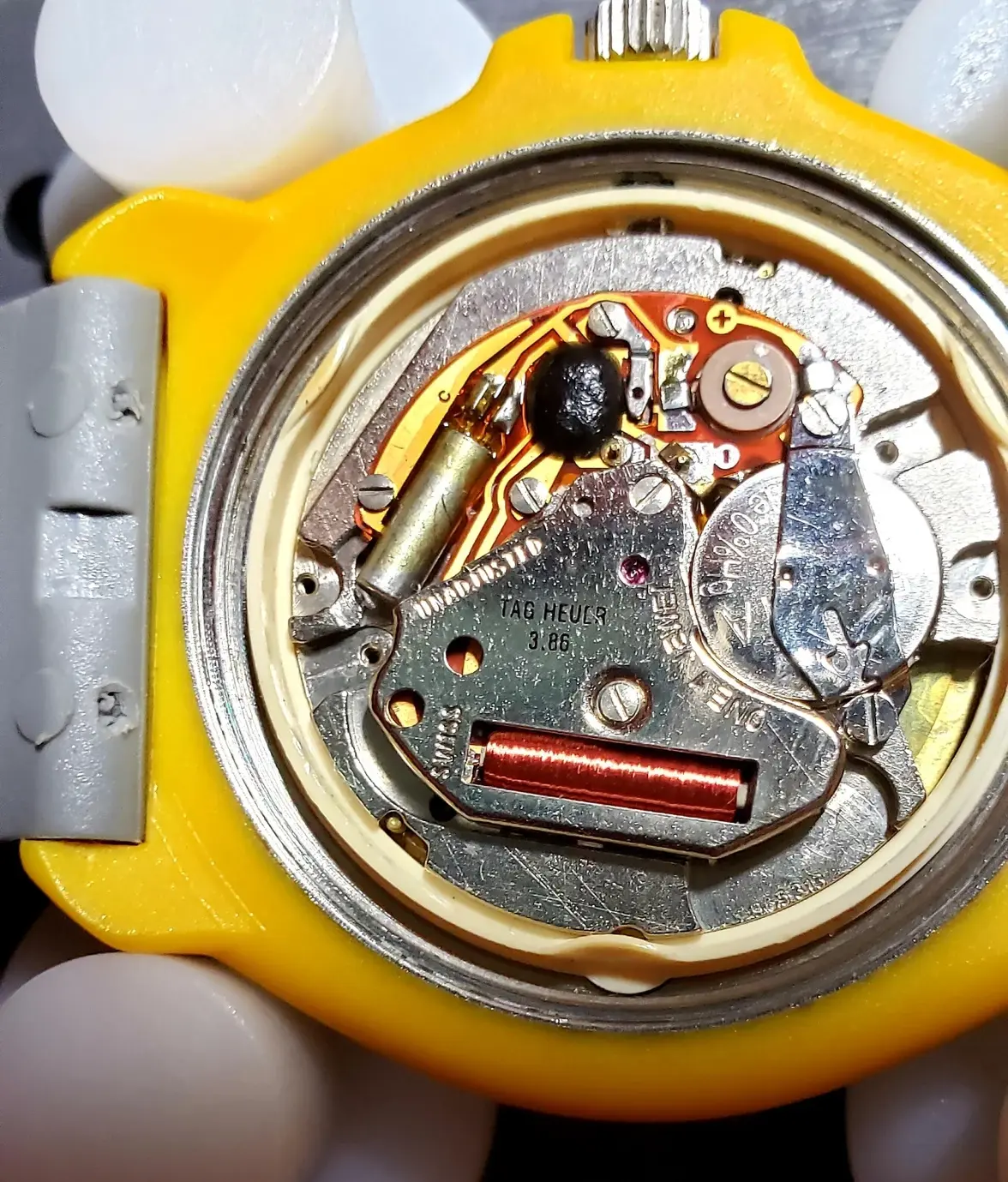 ESA movement.webp ESA movement.webp