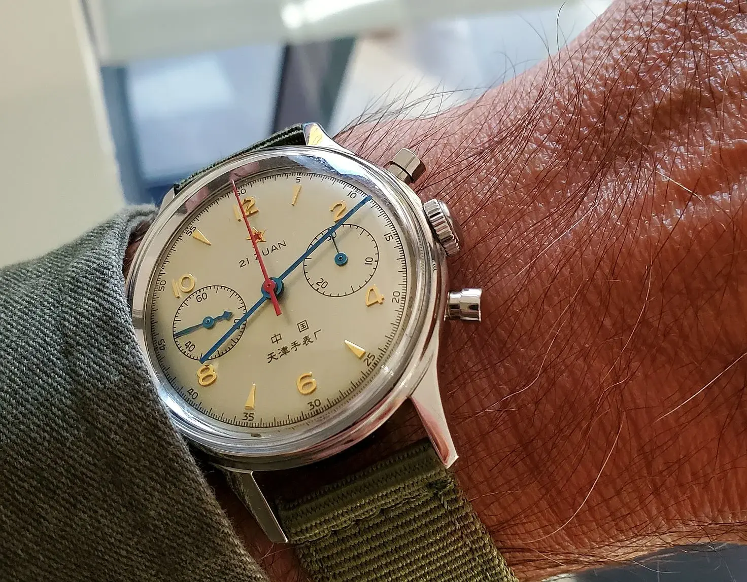 Seagull ws 1b 20251008_081149.webp