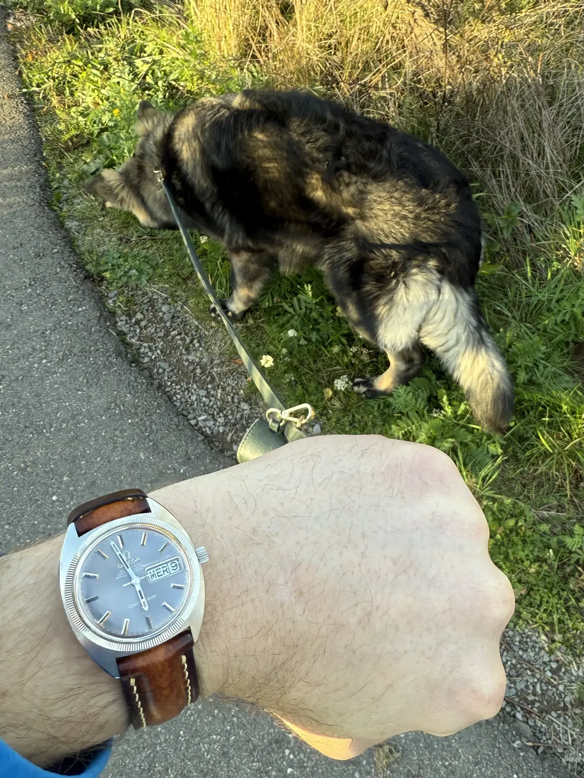 IMG_9876.webp IMG_9876.webp