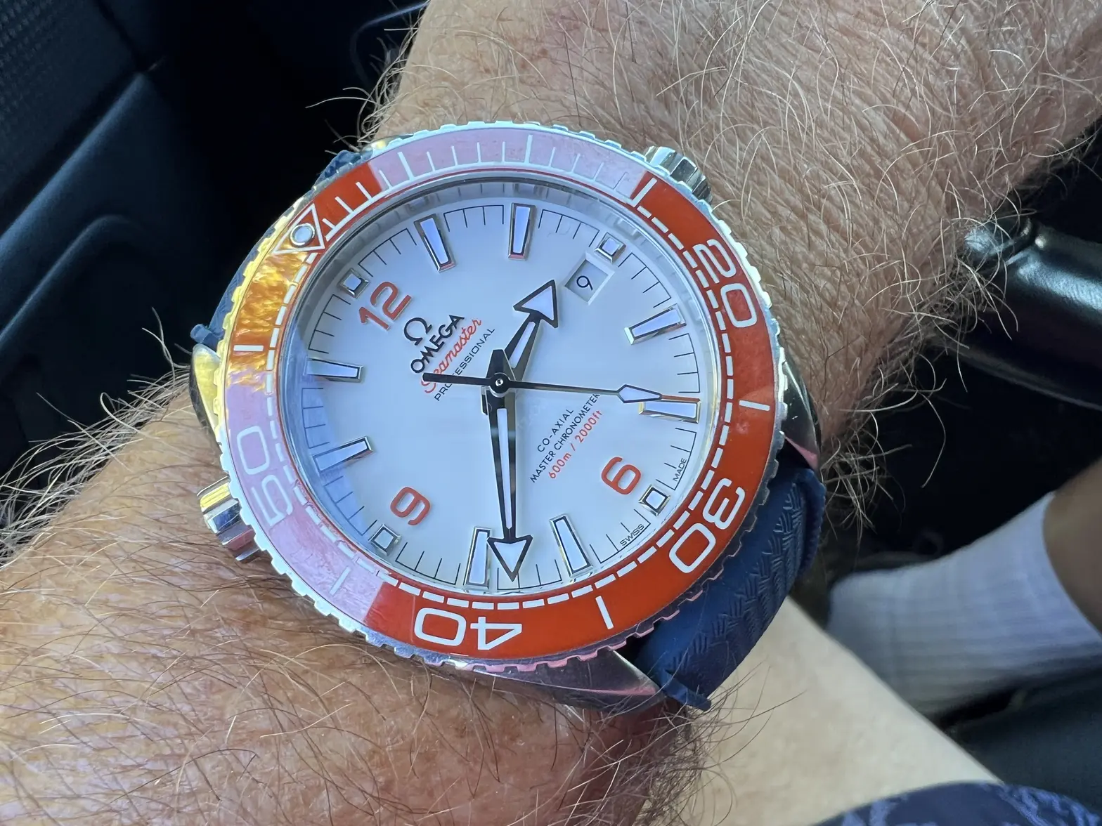 IMG_3138.webp IMG_3138.webp