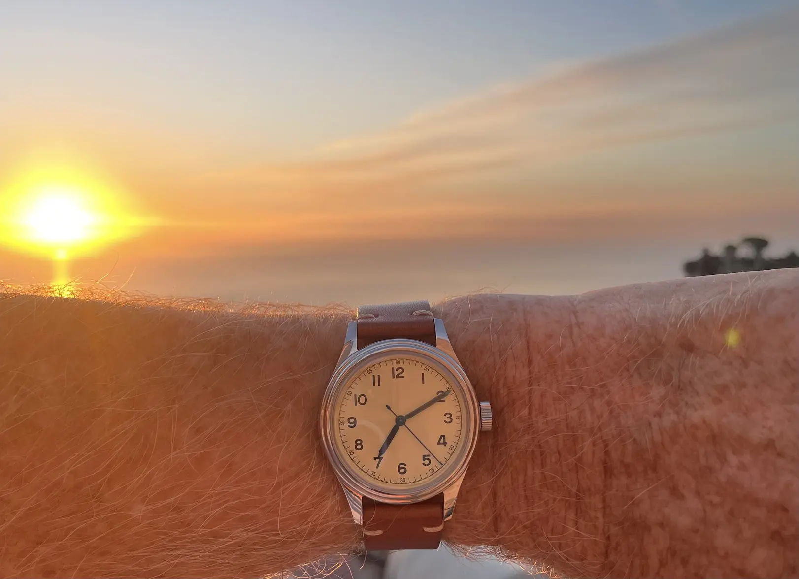 IMG_1129.webp IMG_1129.webp