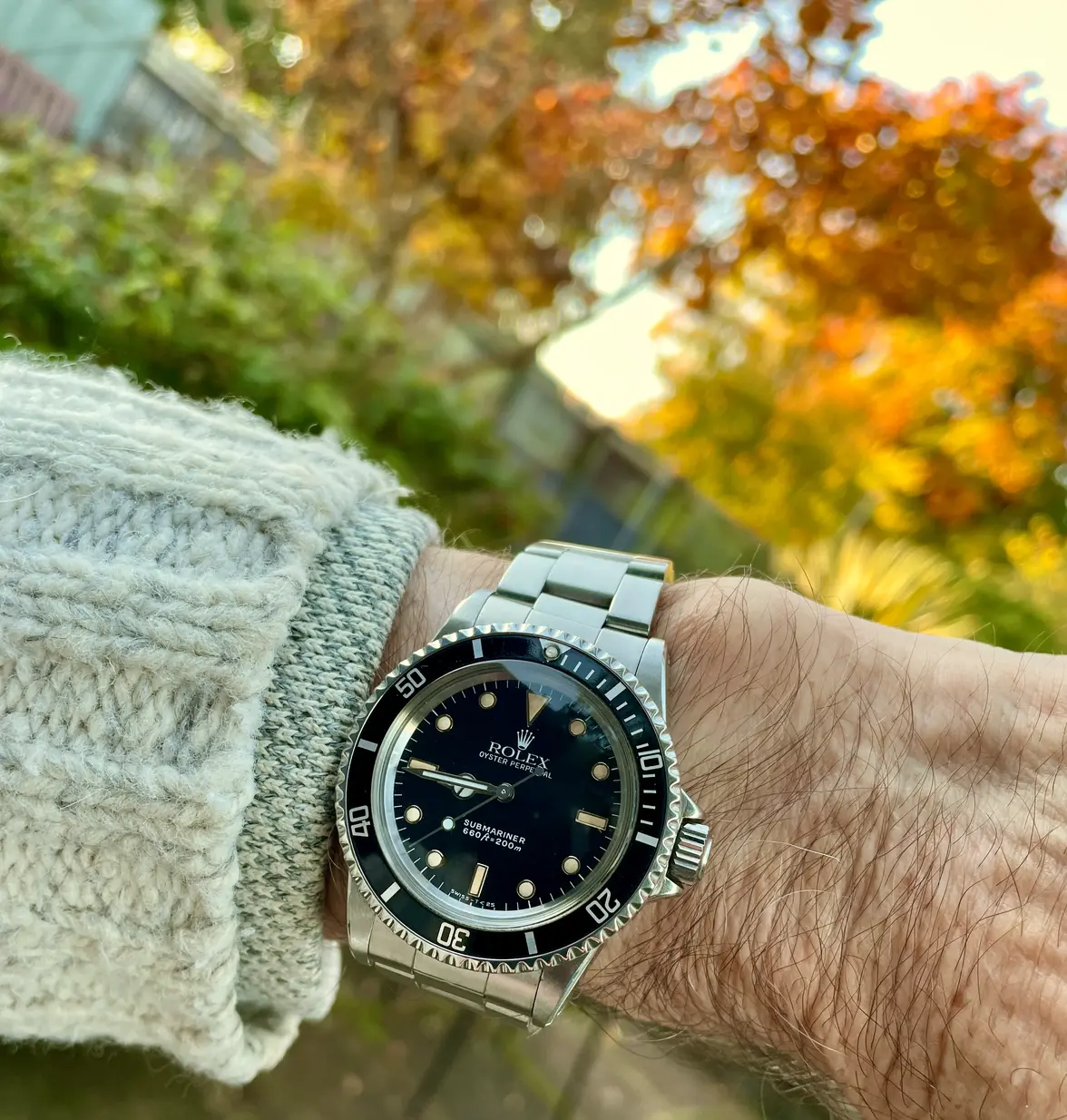 IMG_3707.webp IMG_3707.webp