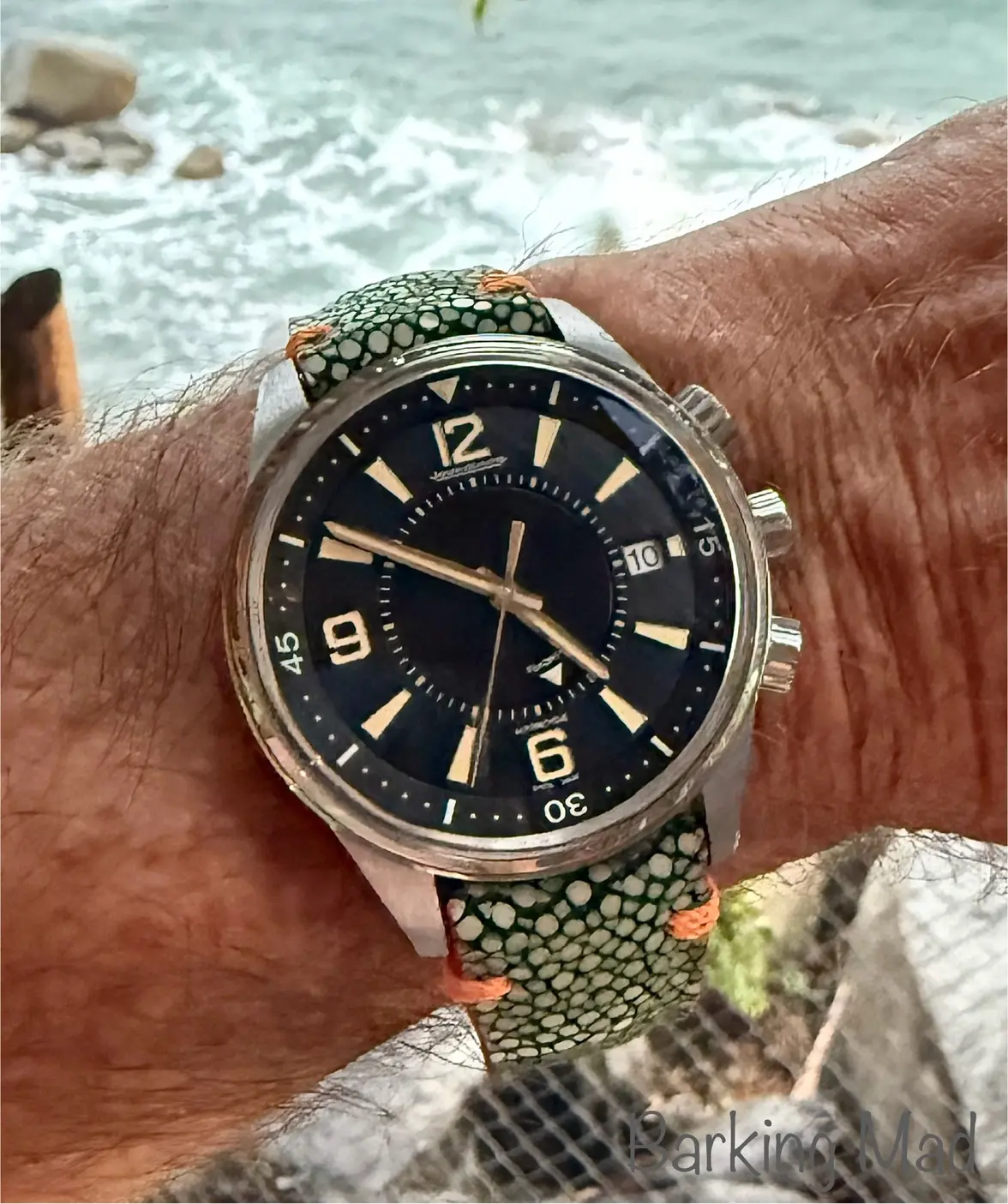 IMG_6845.webp IMG_6845.webp