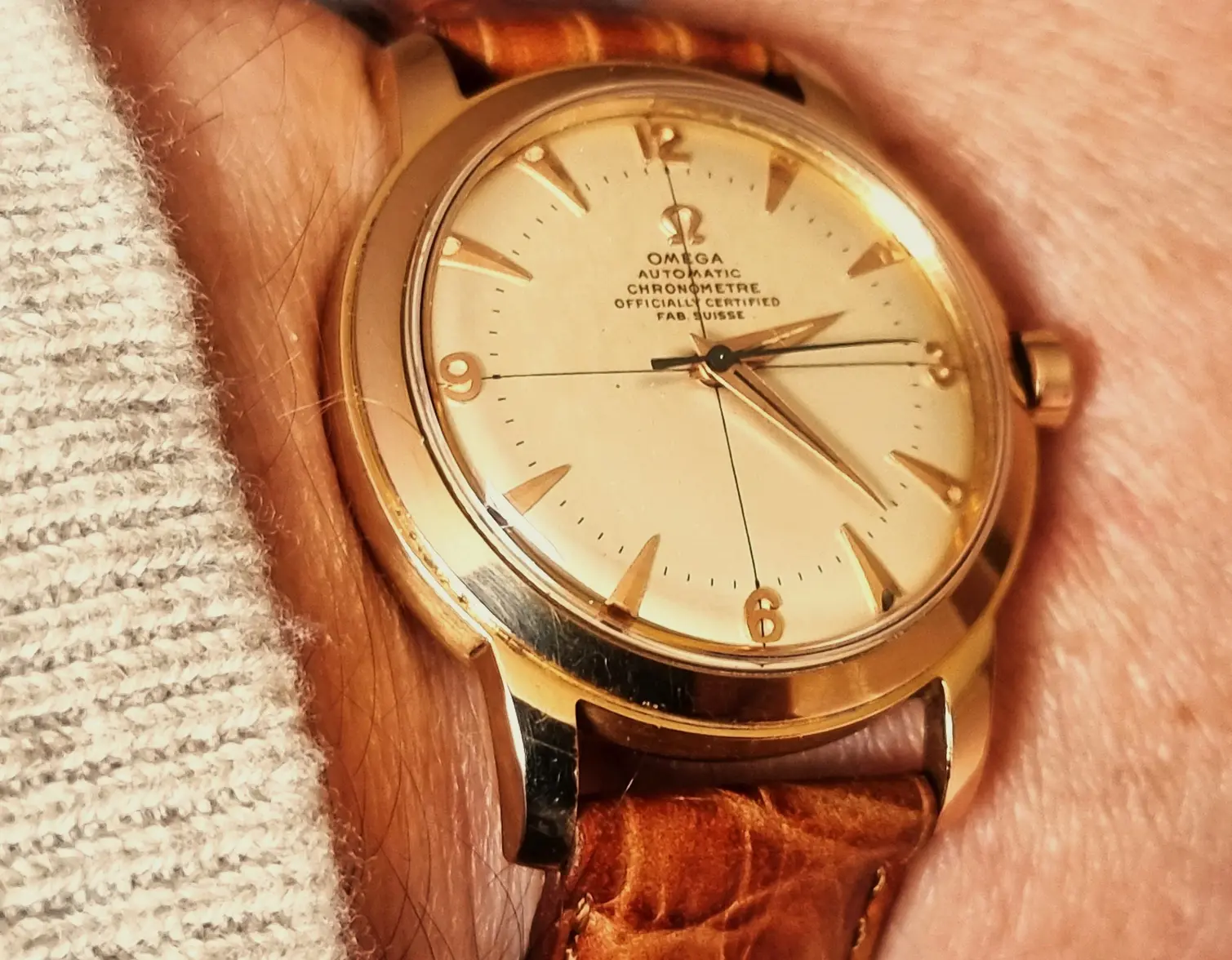 20251010_134445 - kopia.webp