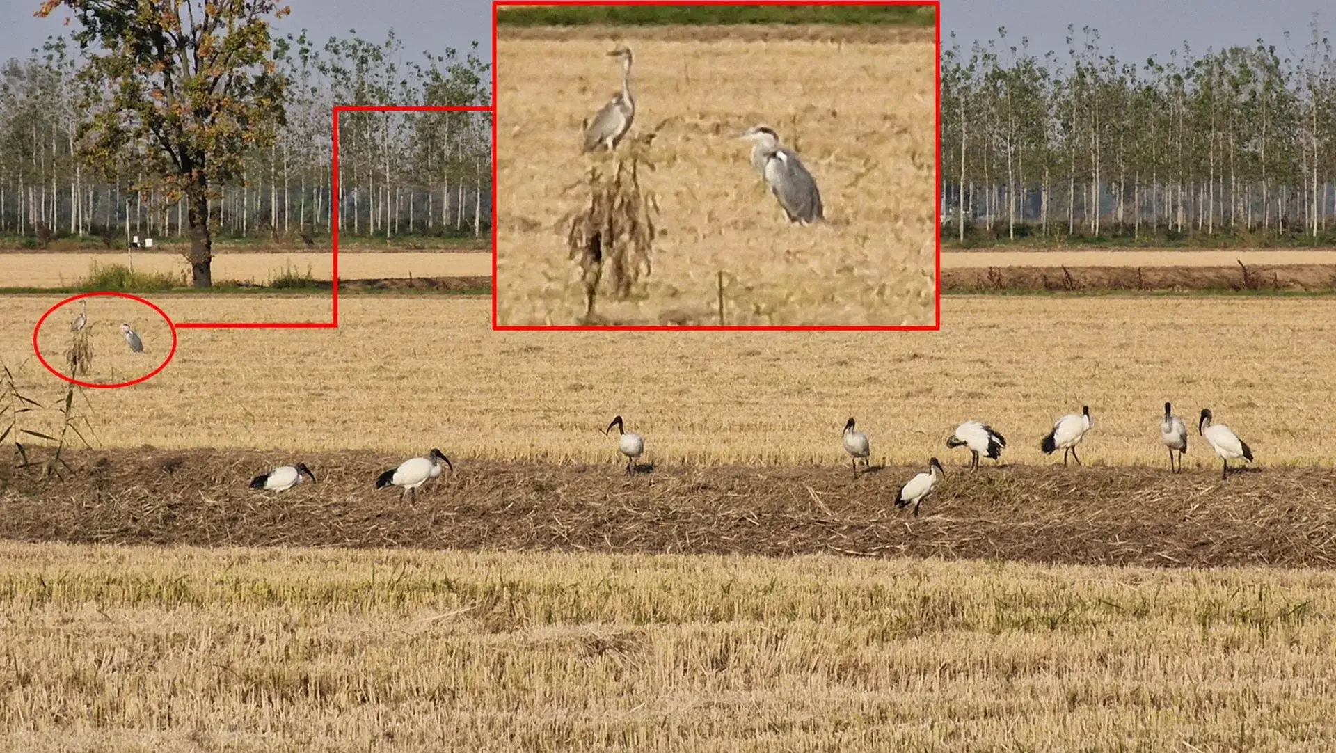 2025_10_08 (5bis).webp