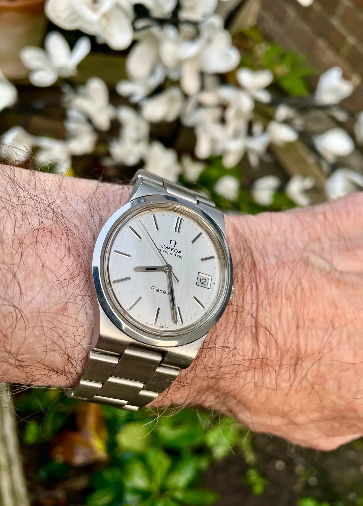 IMG_3724.webp IMG_3724.webp