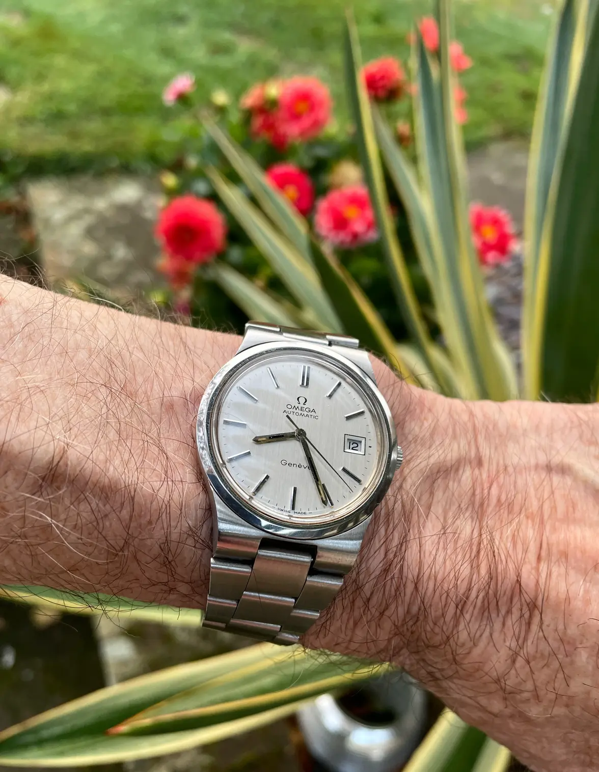 IMG_3723.webp IMG_3723.webp