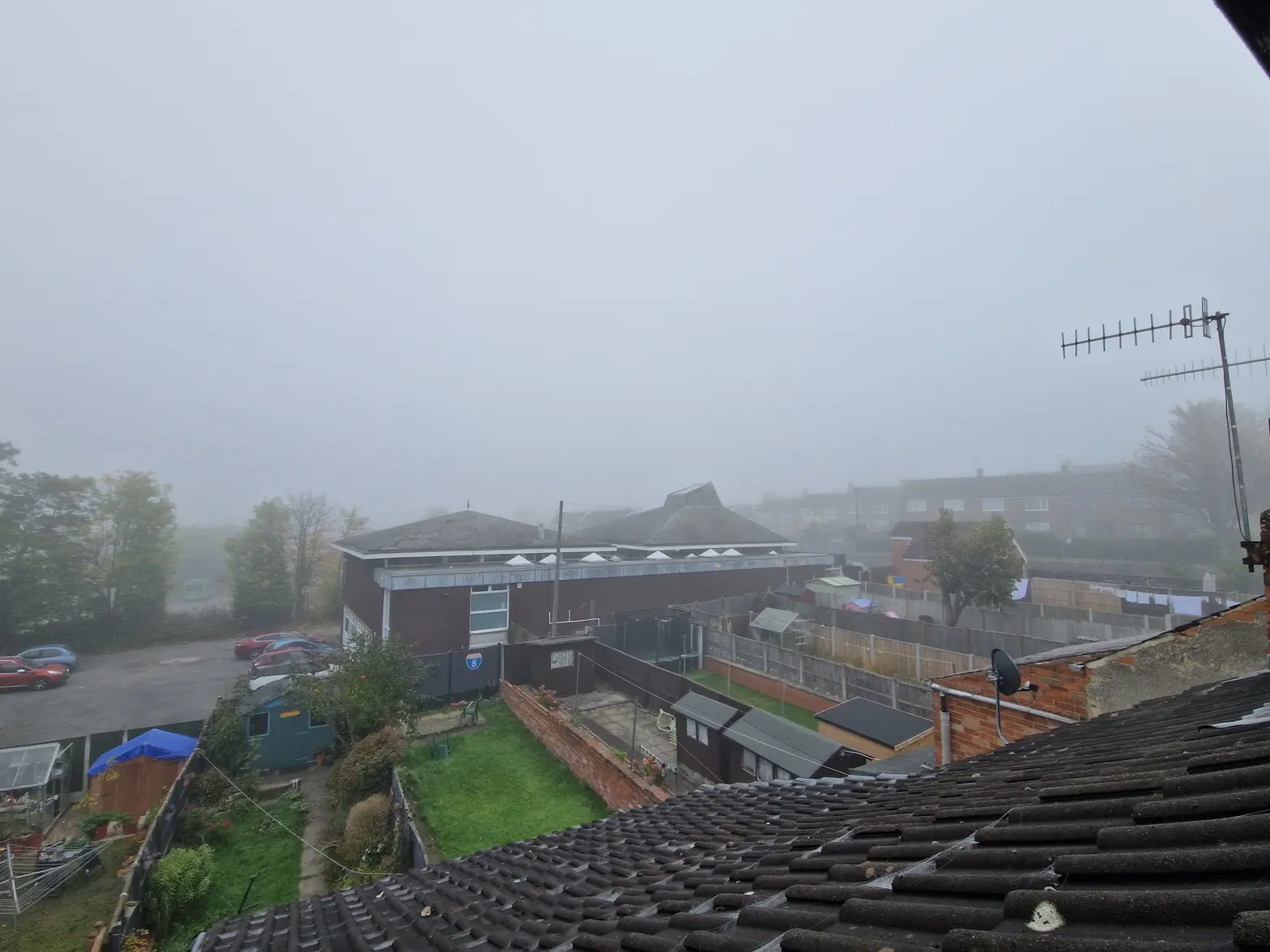 20251012_103631.webp 20251012_103631.webp