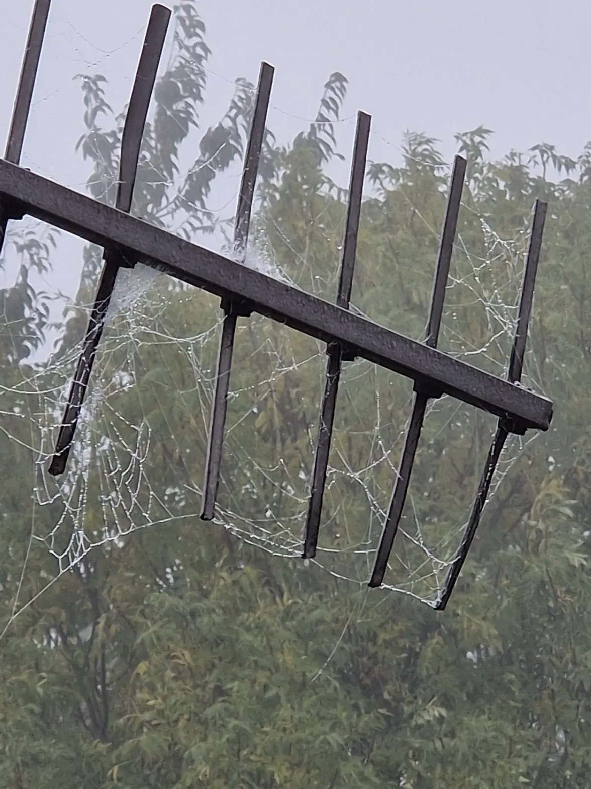 20251012_103605.webp 20251012_103605.webp