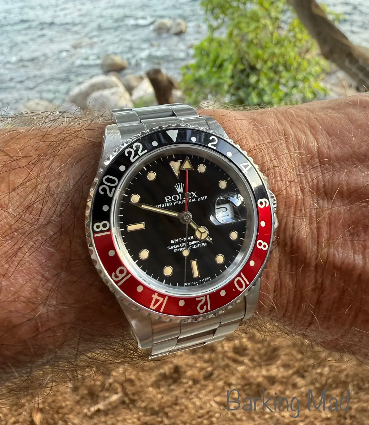 IMG_7064.webp IMG_7064.webp