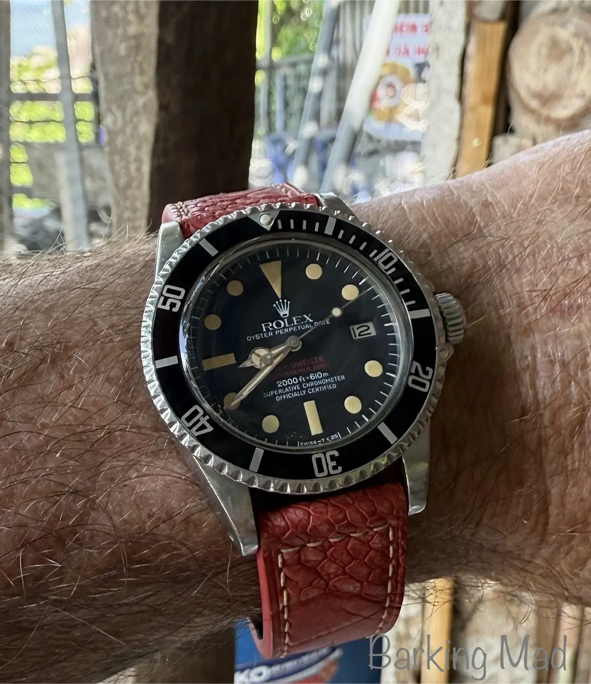 IMG_6950.webp IMG_6950.webp