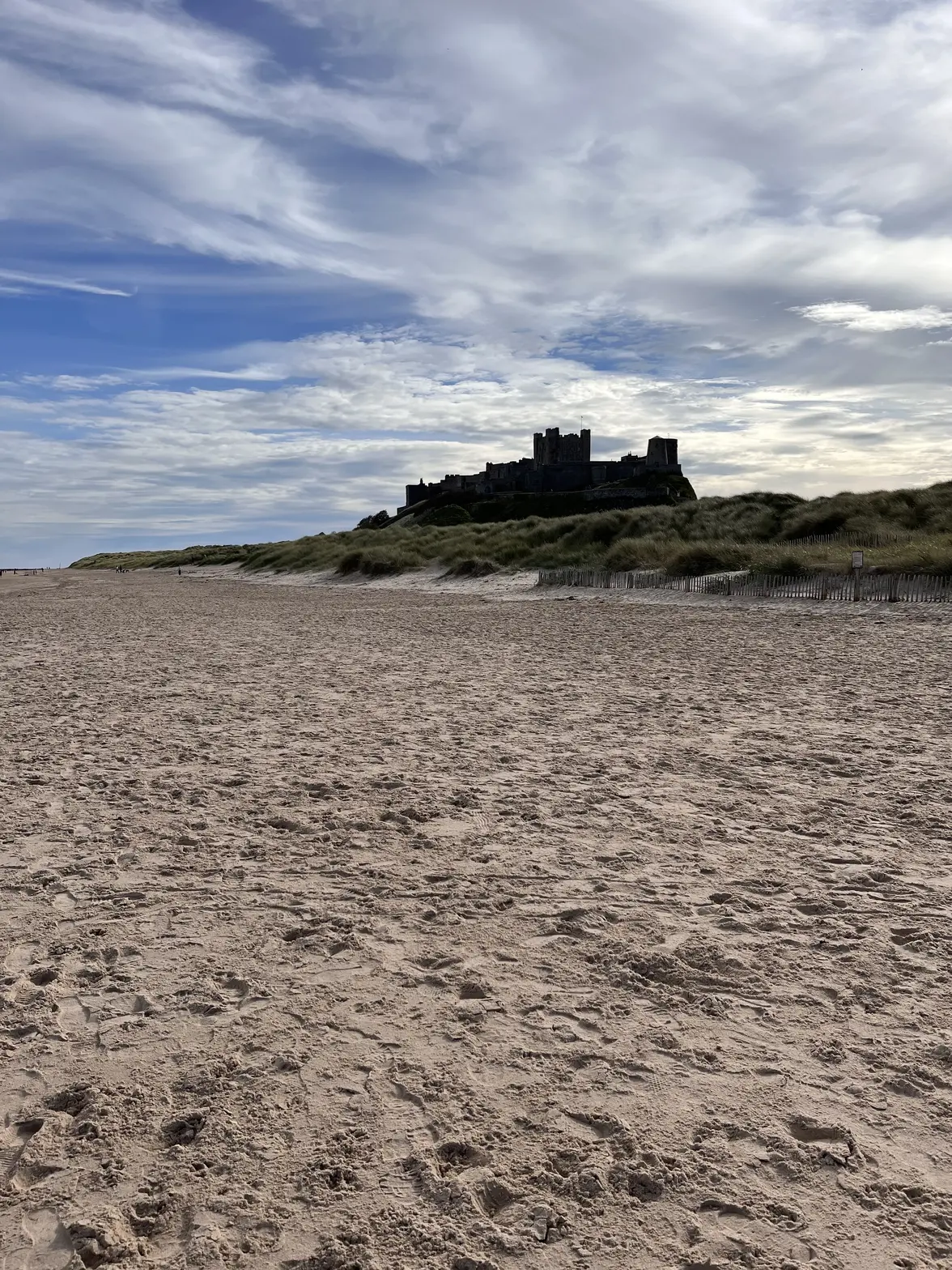 IMG_5859.webp IMG_5859.webp