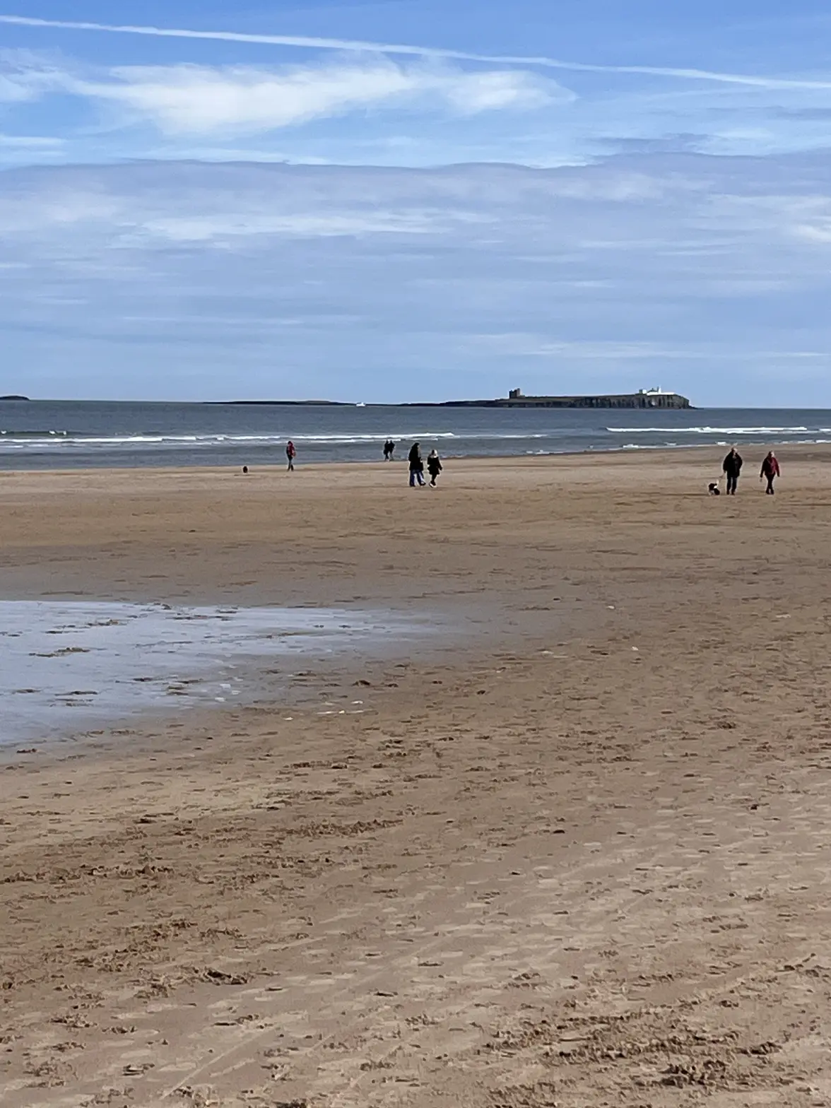 IMG_5861.webp IMG_5861.webp