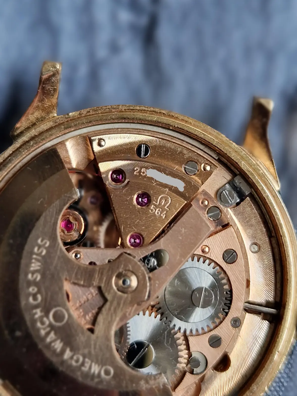 2025-10-03 15.46.322.webp