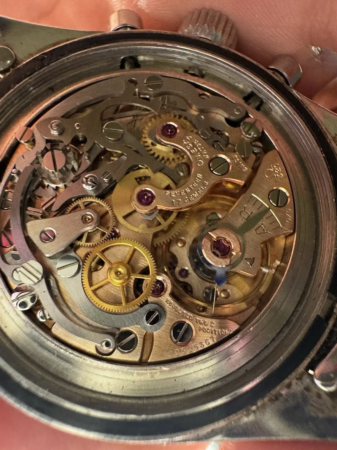 105002_1.webp 105002_1.webp