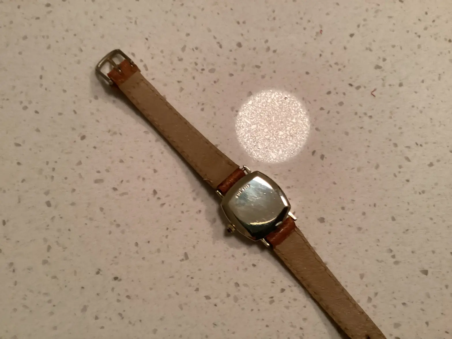 IMG_0070.webp IMG_0070.webp