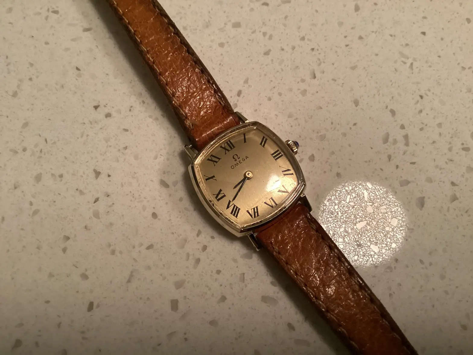 IMG_0069.webp IMG_0069.webp